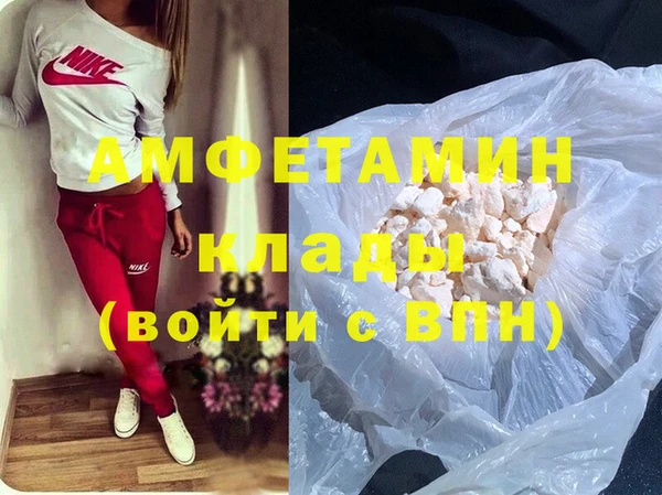 индика Бородино