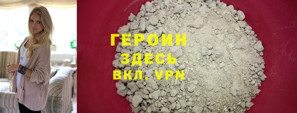индика Бородино